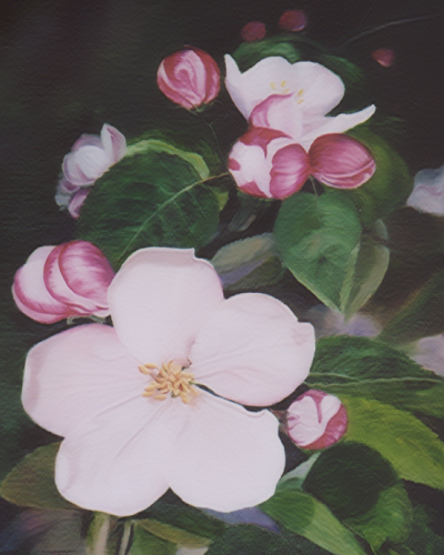 Apple Blossom Painting